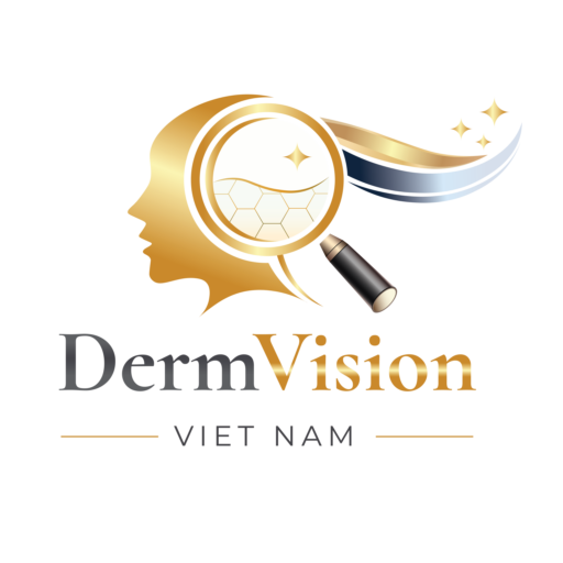dermvisionvietnam.com